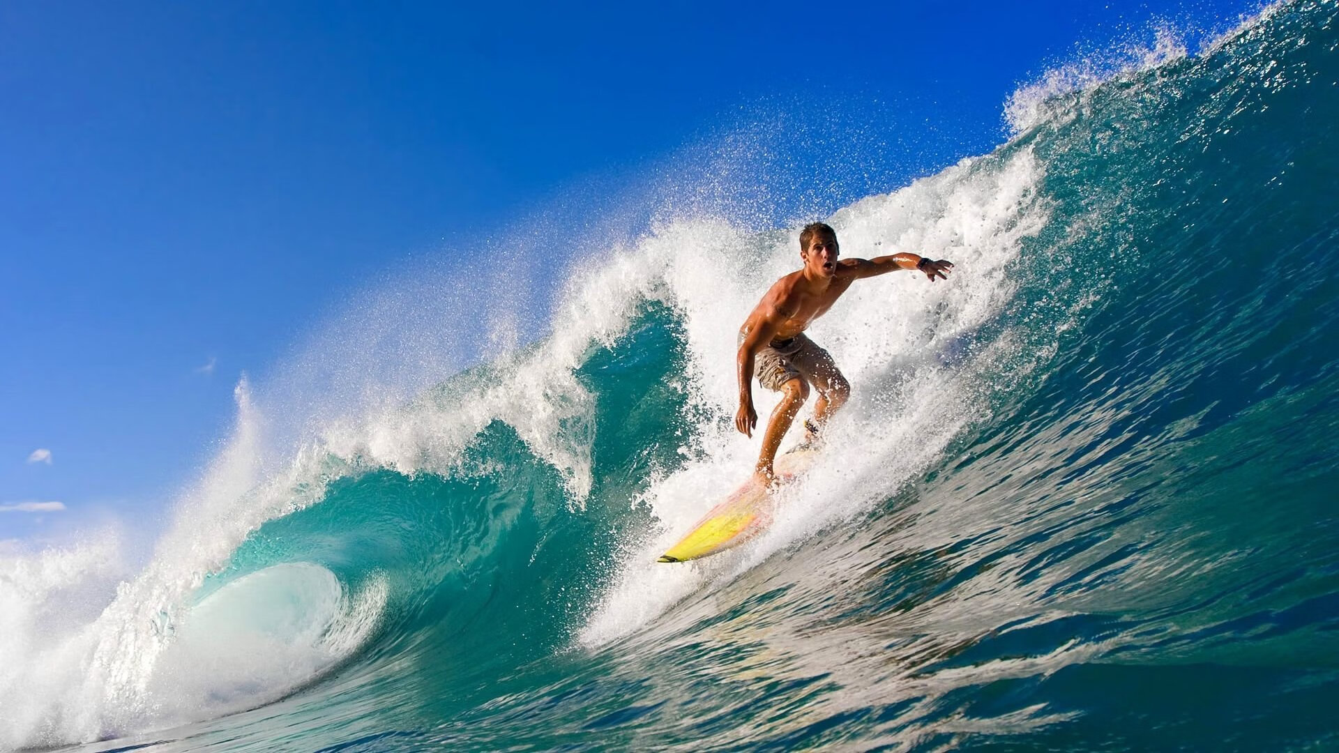 冠军之路:这些球队有望问鼎总冠军,球赛冠军